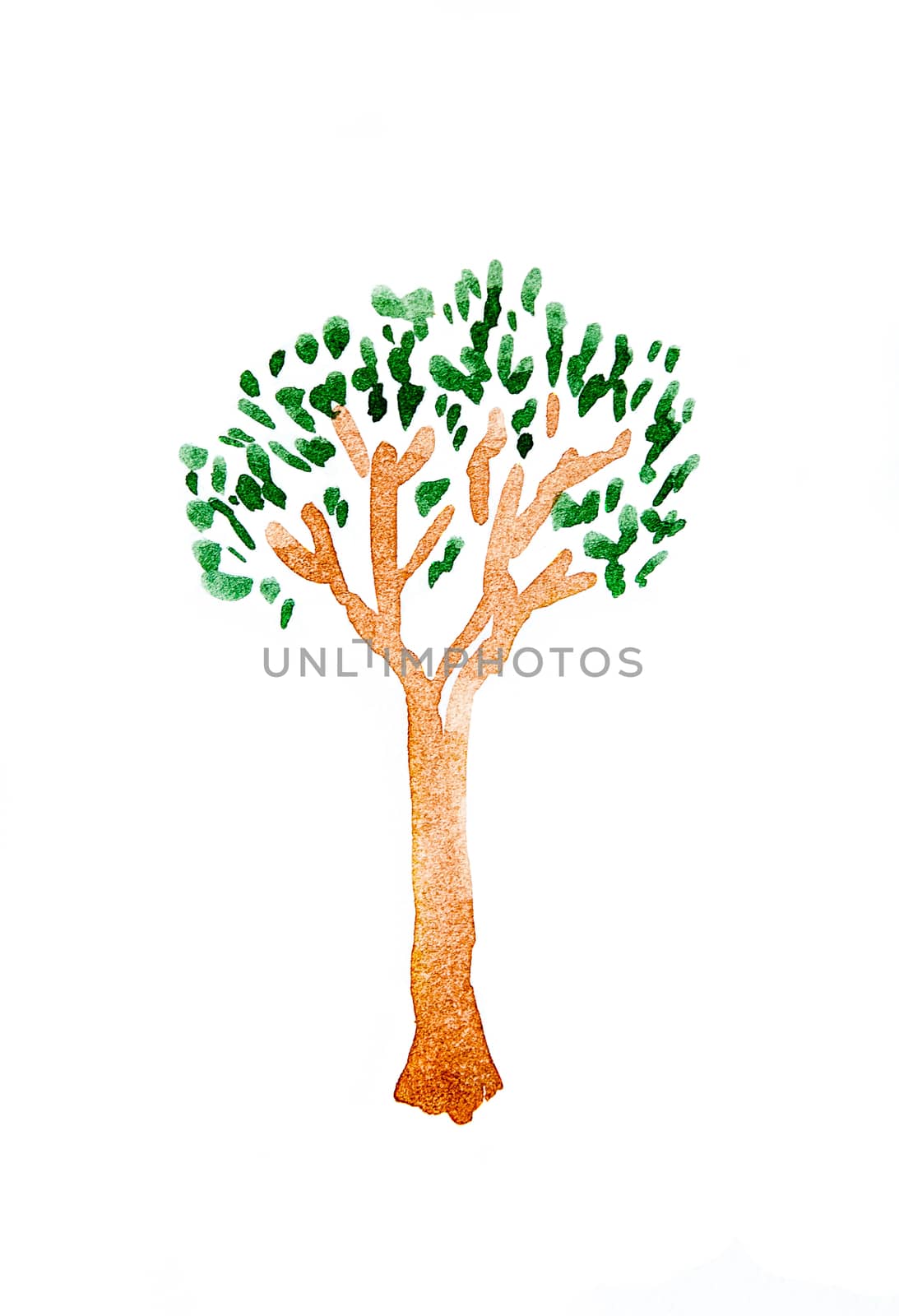 tree of watercolor on white paper isolated