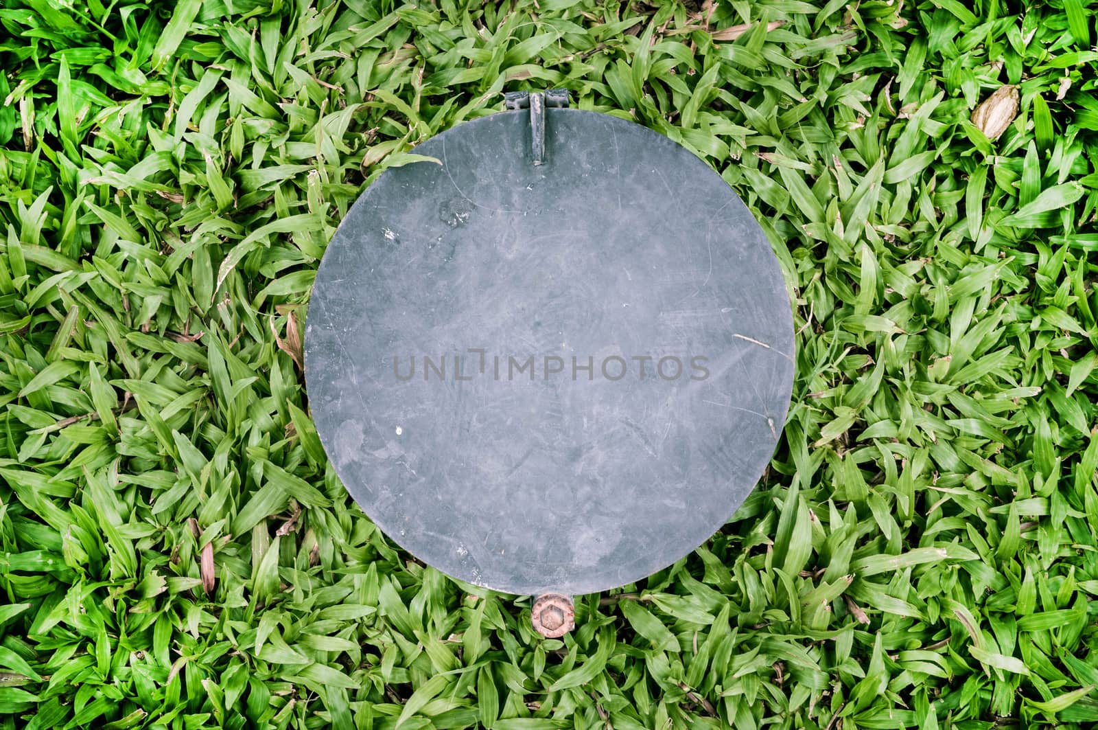 circle steel plate and malaysian grass