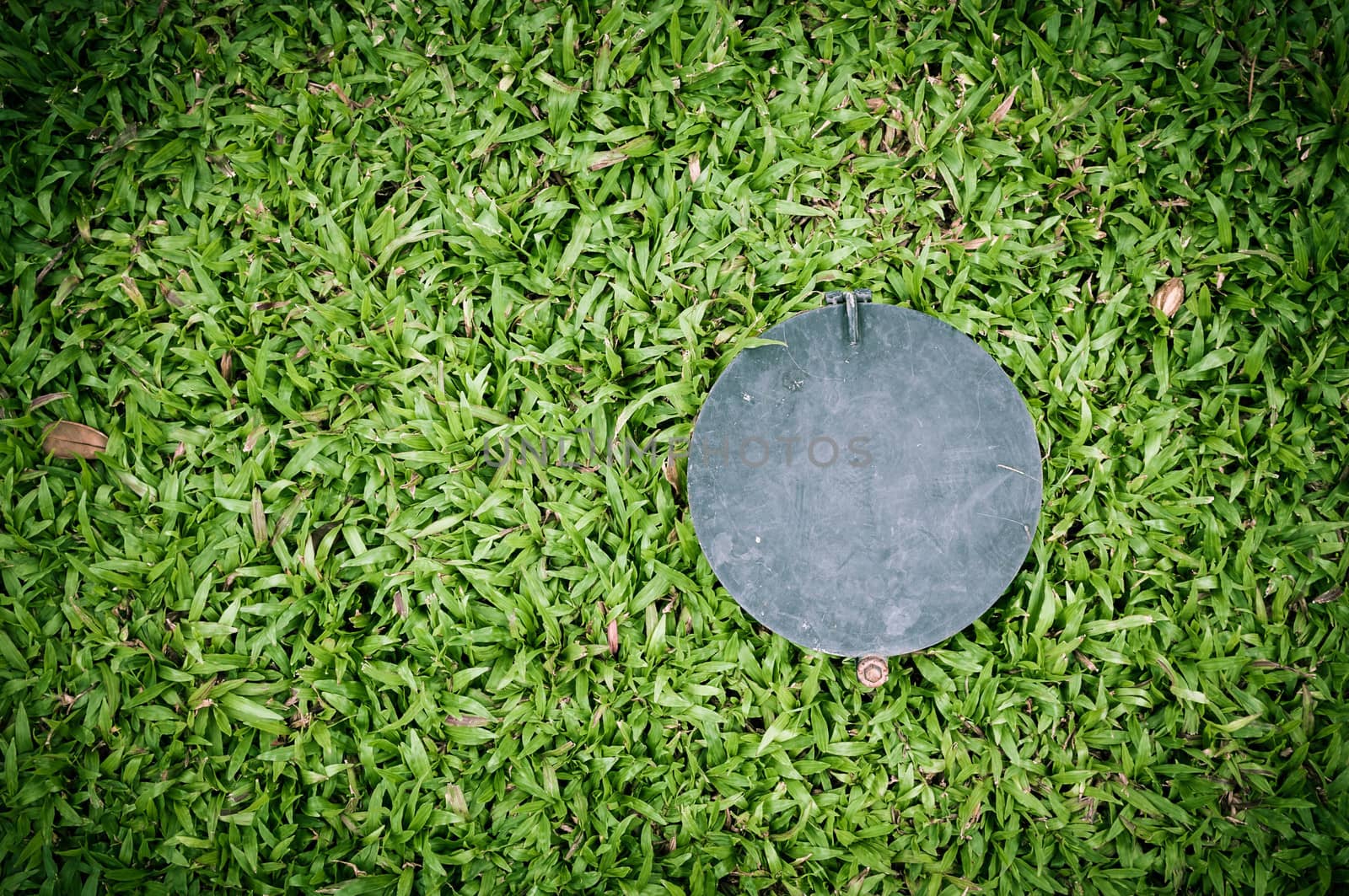 circle steel plate and malaysian grass
