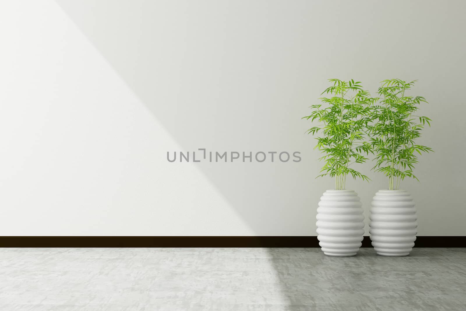 tree pot and white wall interior decorated