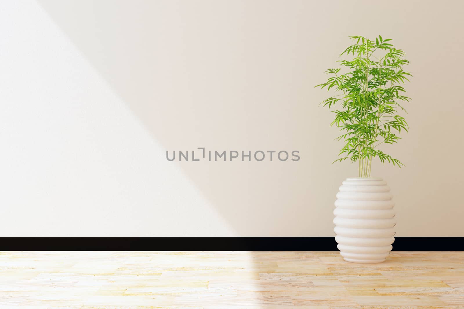 tree pot and white wall interior decorated