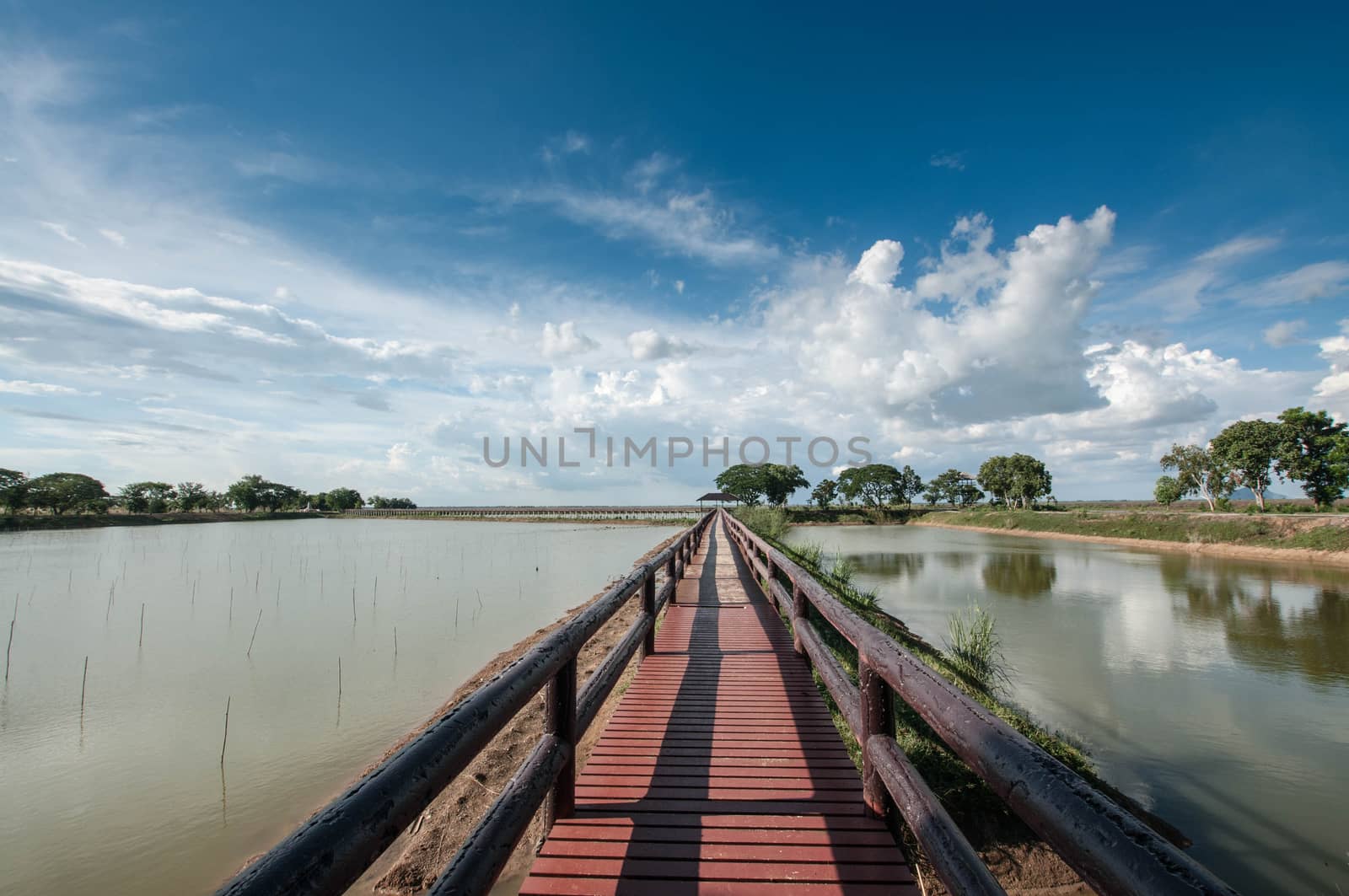 pontoon bridge with blue sky landscape