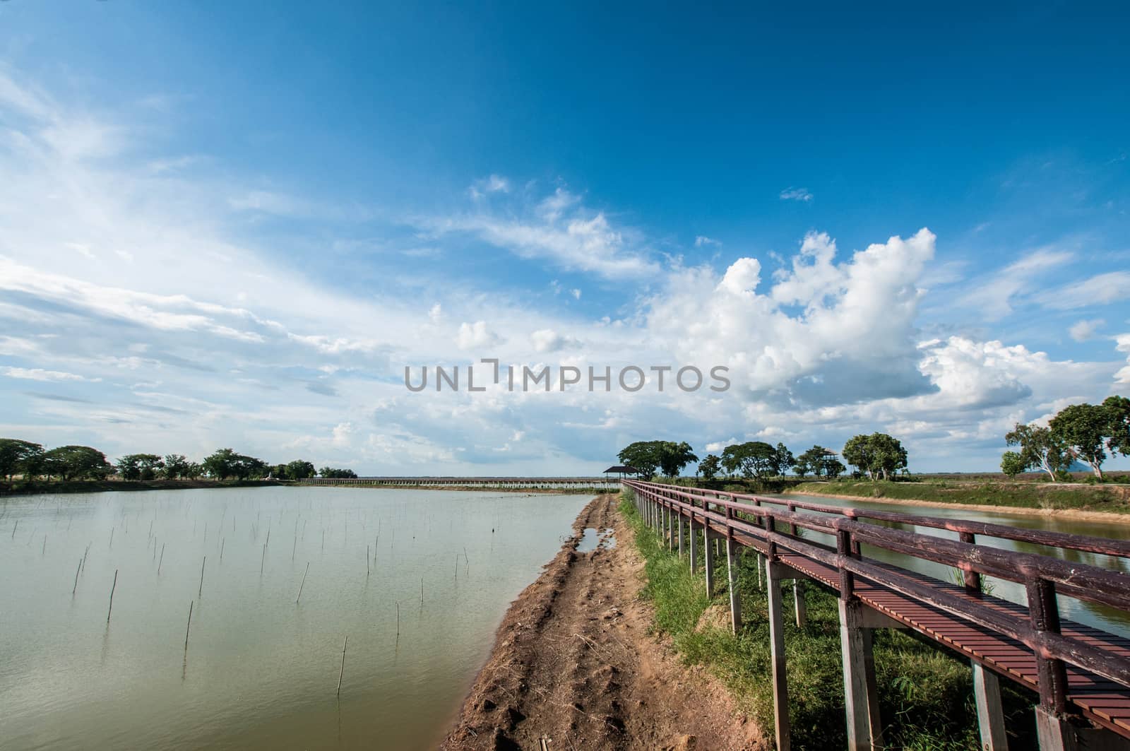 pontoon bridge with blue sky landscape