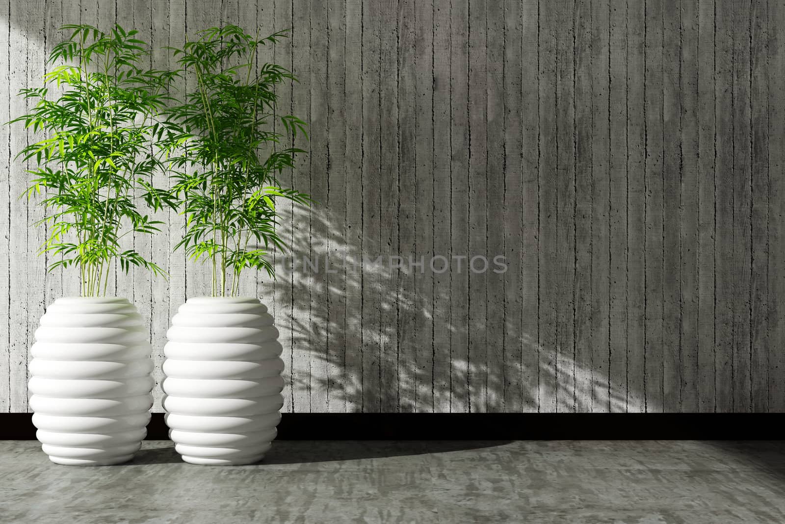 tree pot and concrete wall interior decorated