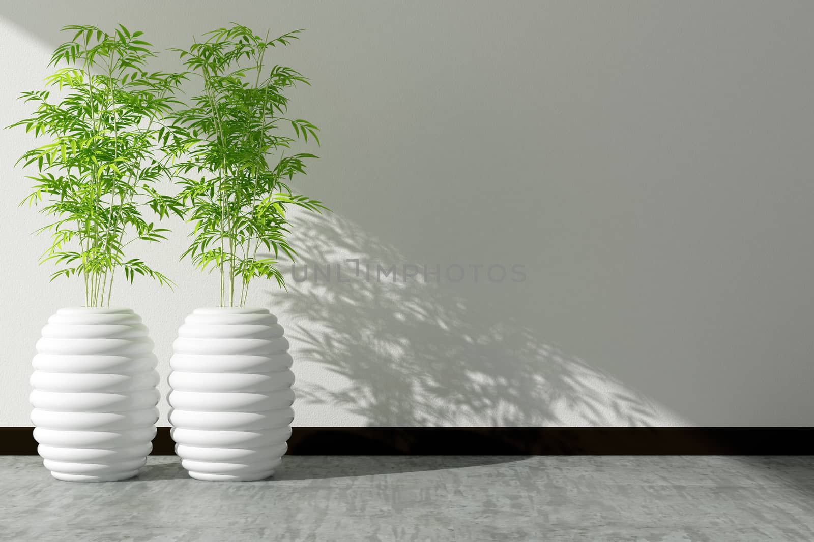 tree pot and white wall interior decorated