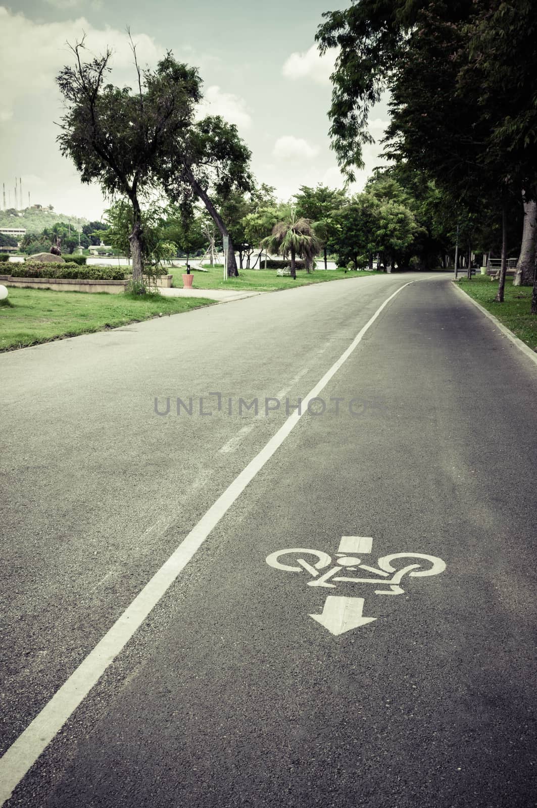 bicycle lane sign on the road