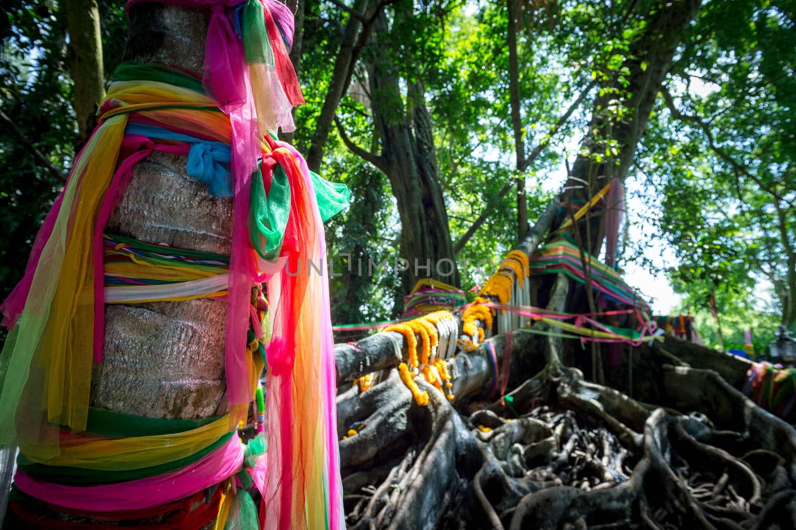 close-up of curtain colorful on tree, traditional travel  in Thailand