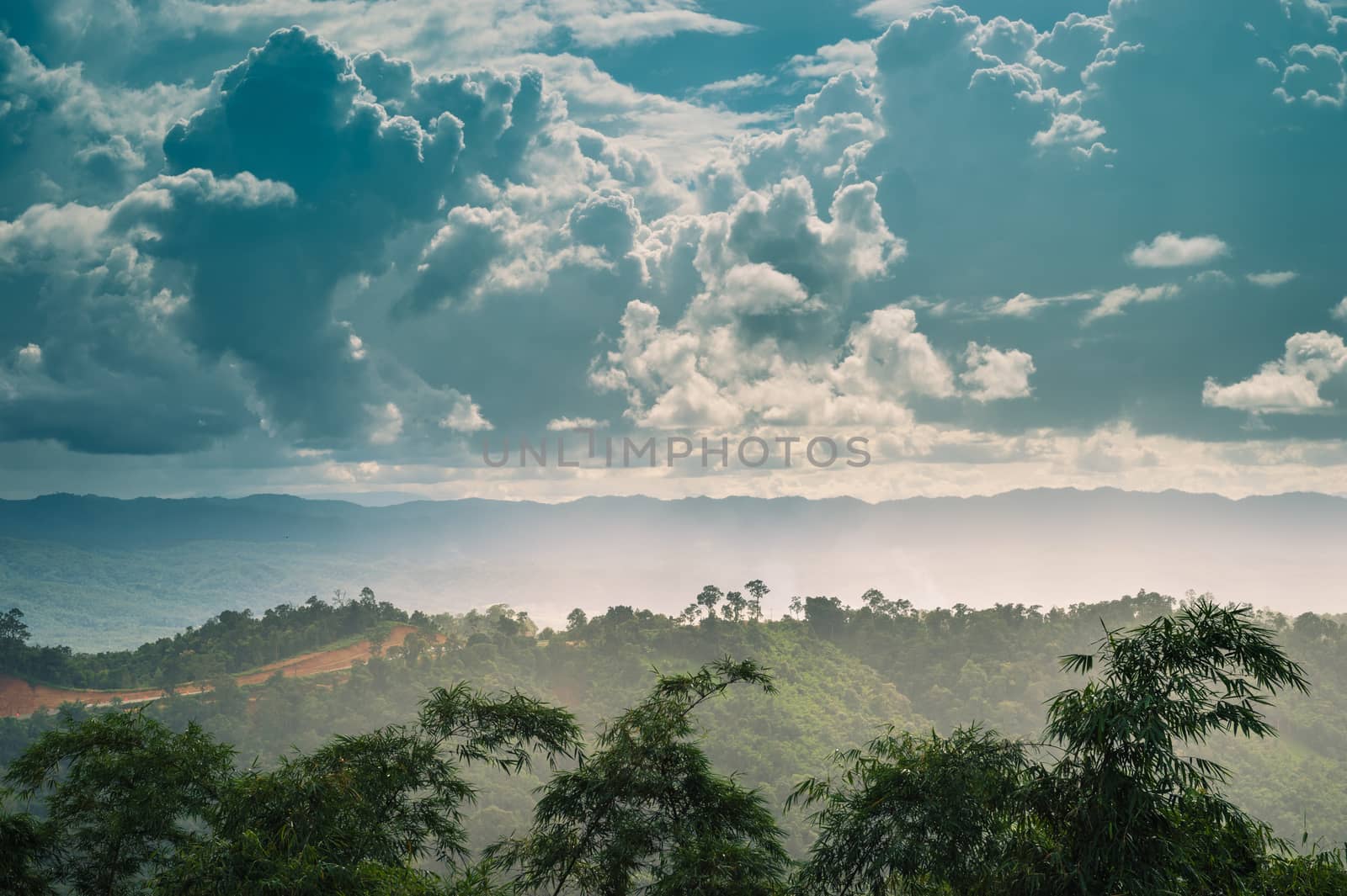 Landscape of mountain green forest and clouds sky