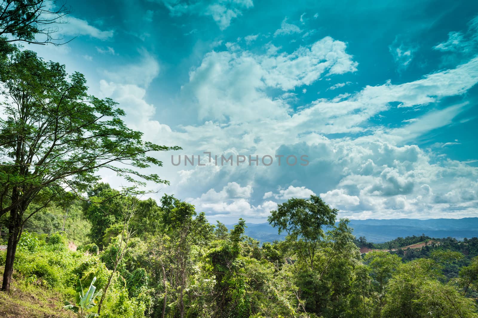 Landscape of mountain green forest and clouds sky