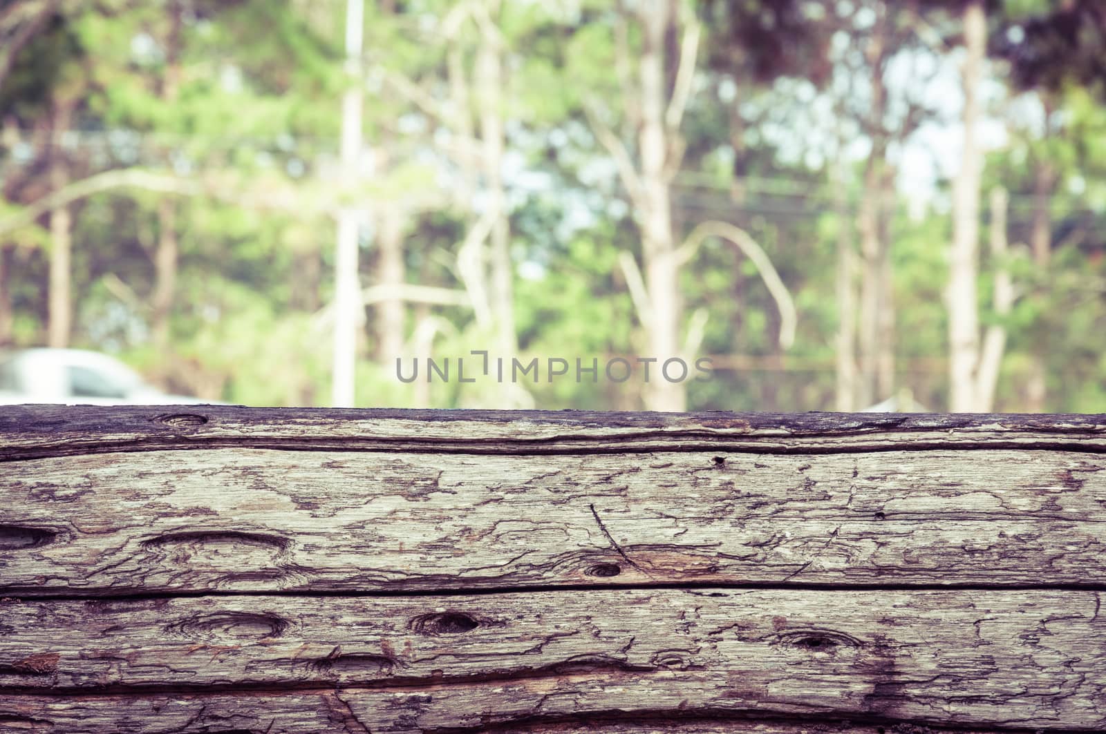 Wood foreground and tree forest