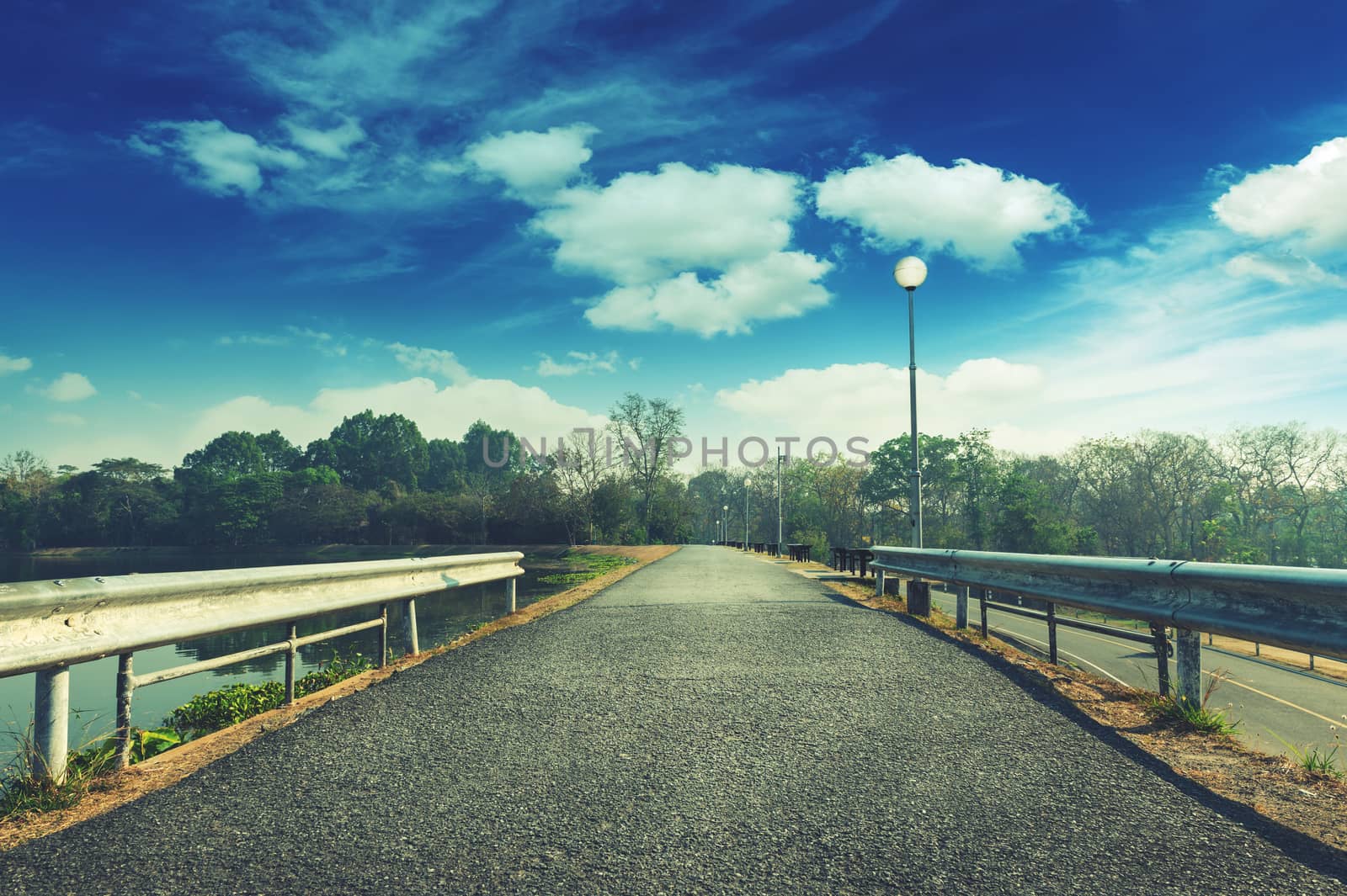 Asphalt Road and Pond Natural Park Landscape