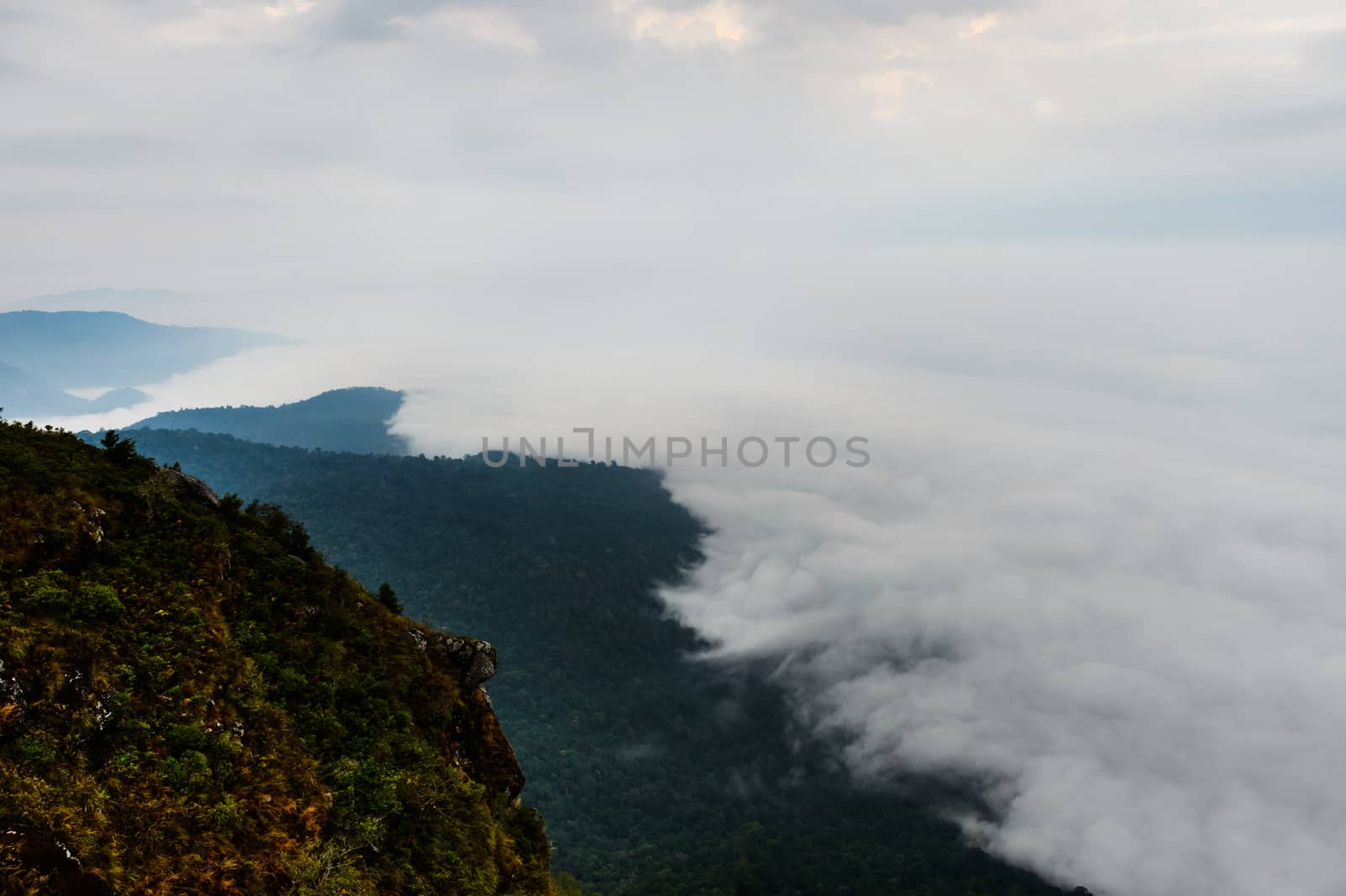 fog on mountain and cloudy sky