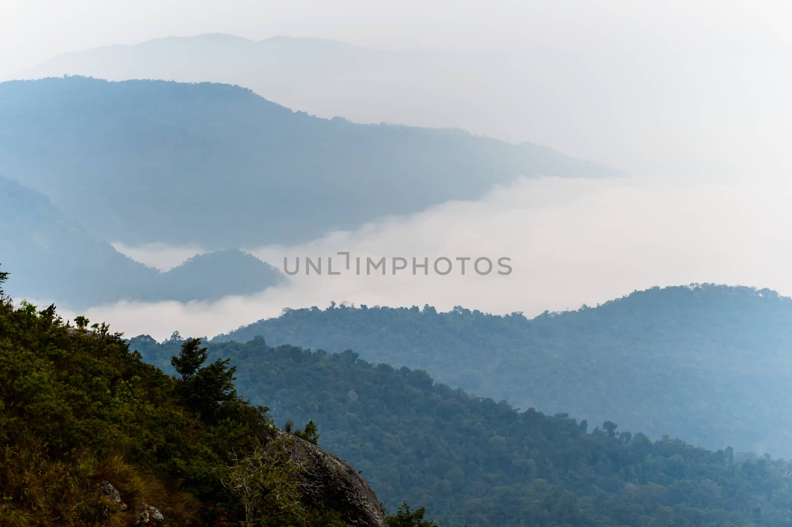 fog on mountain and cloudy sky