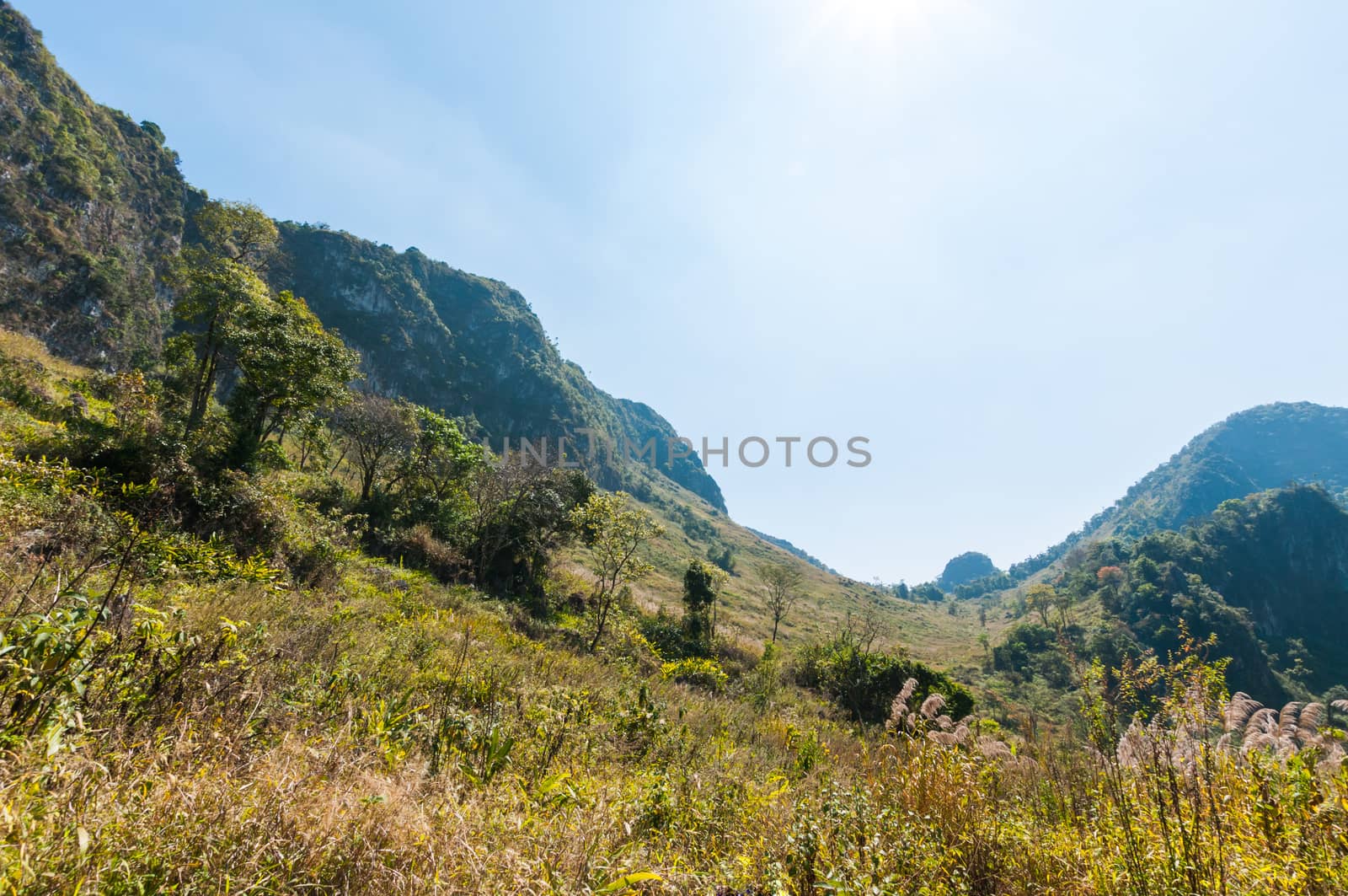 Mountain of Doi Luang Chiang Dao natural park Landscape