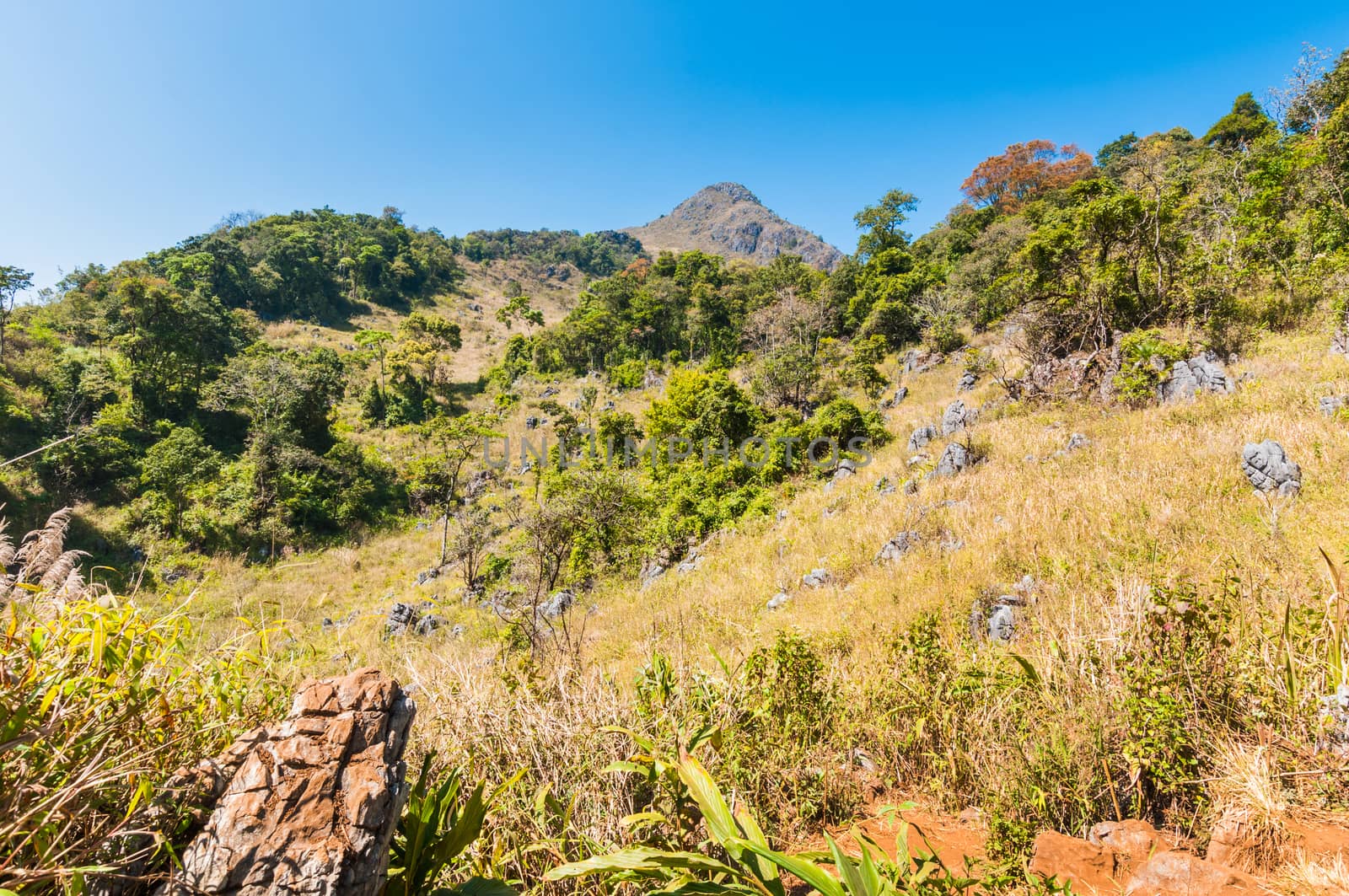 Mountain of Doi Luang Chiang Dao natural park Landscape