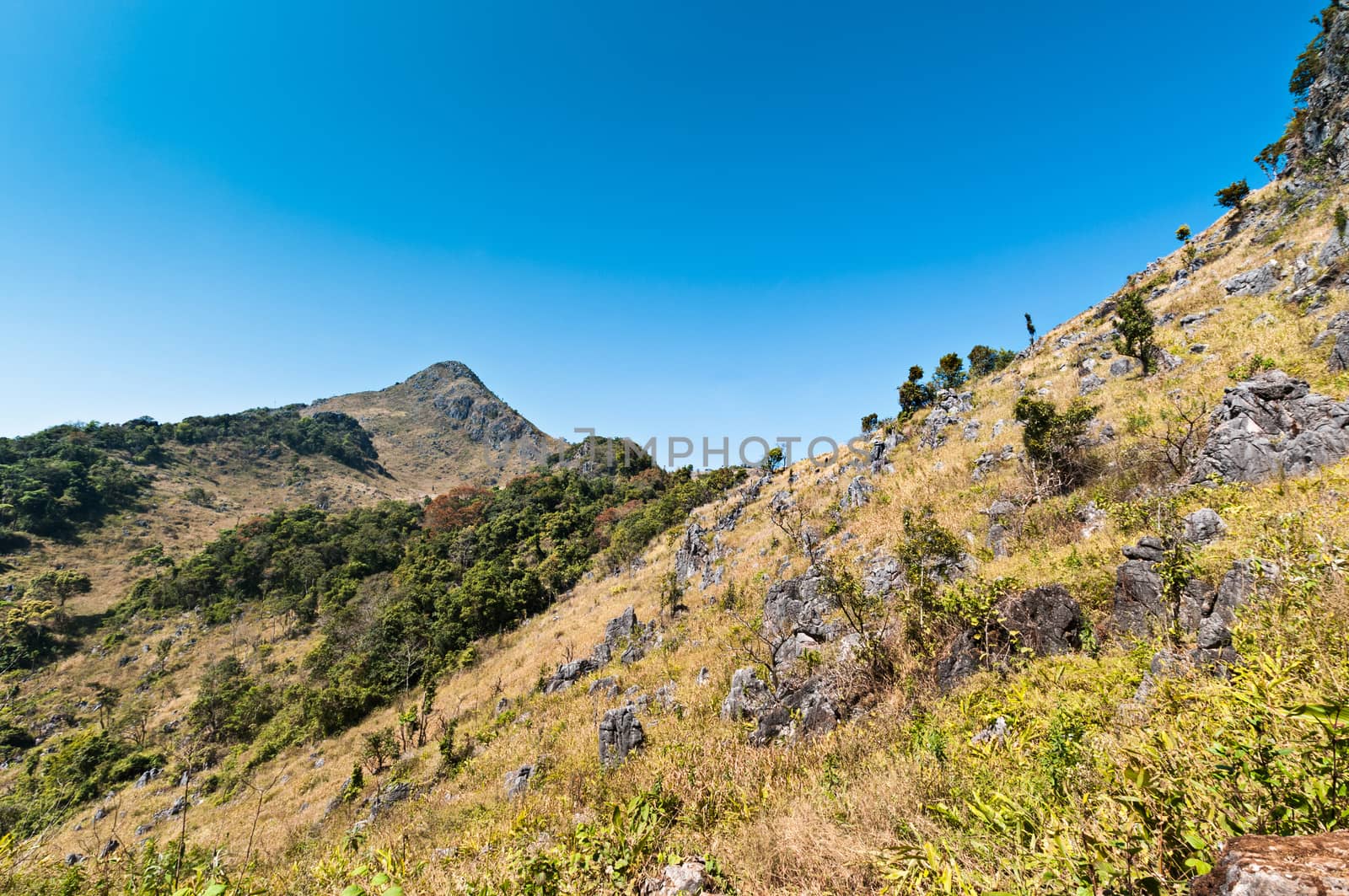 Mountain of Doi Luang Chiang Dao natural park Landscape