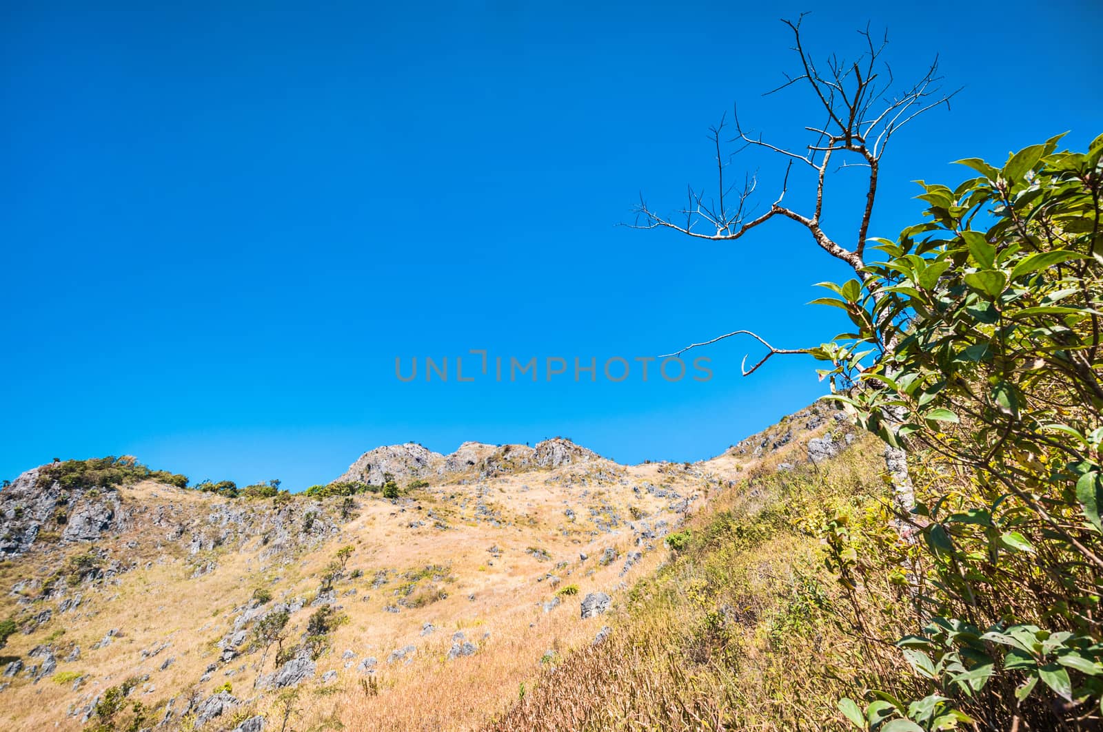 Mountain of Doi Luang Chiang Dao natural park Landscape