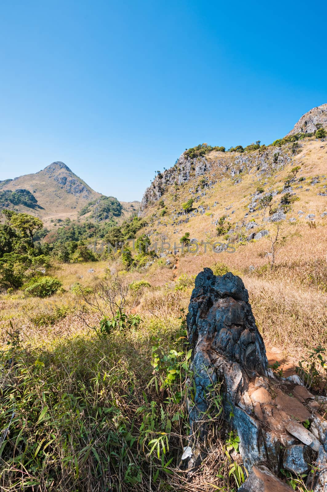 Mountain of Doi Luang Chiang Dao natural park Landscape