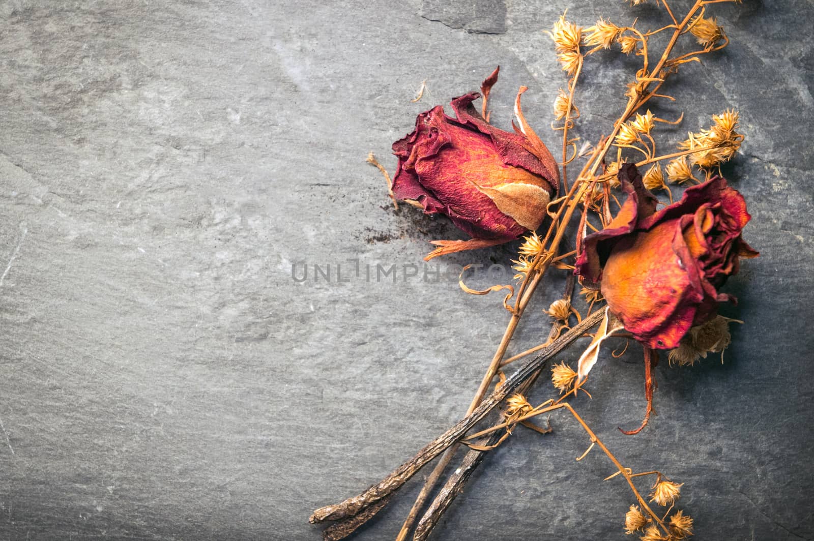 Closeup of Dry Rose Flower on Stone