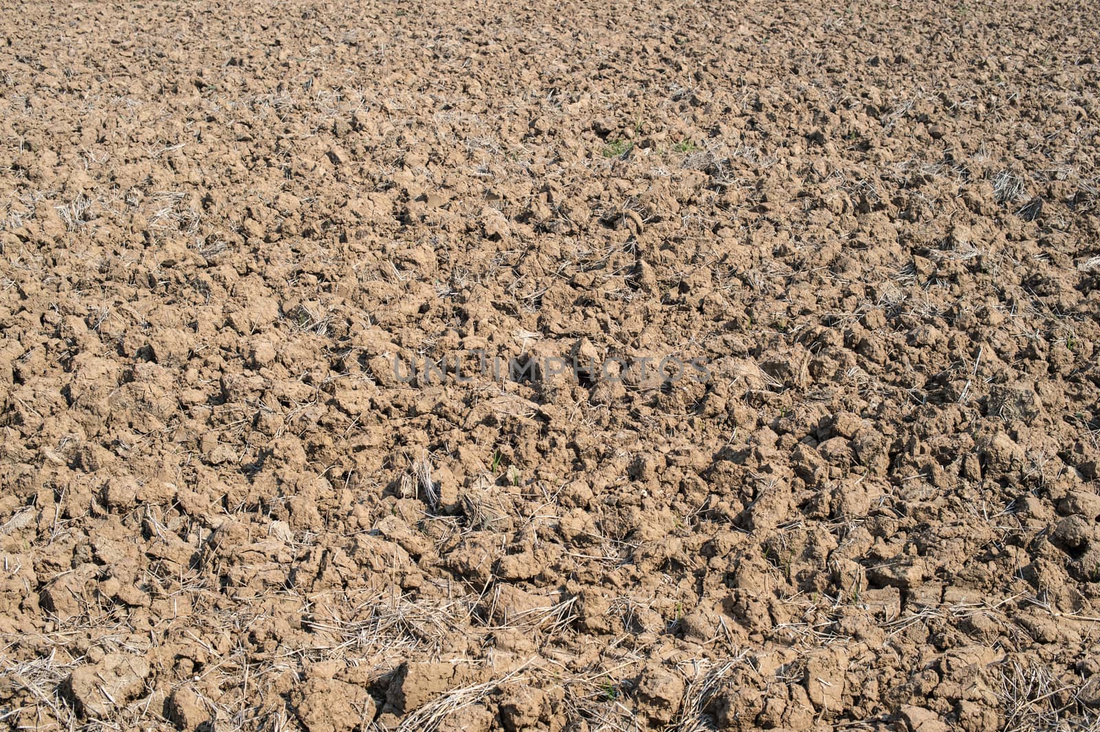 background of soil floor for agriculture