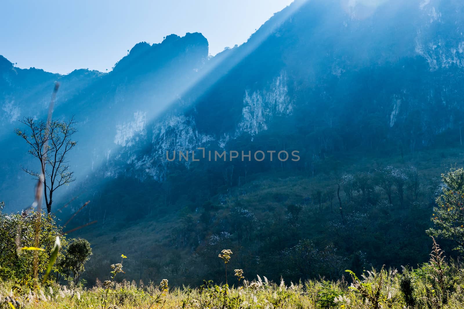 Mountain of Doi Luang Chiang Dao natural park Landscape, Chiang Mai, Thailand.
