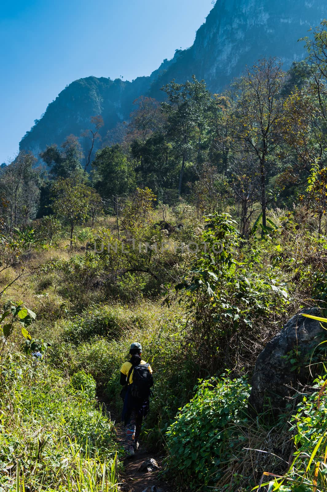 traveler walking on Doi Luang Chiang Dao Mountain Landscape, Chiang Mai, Thailand.
