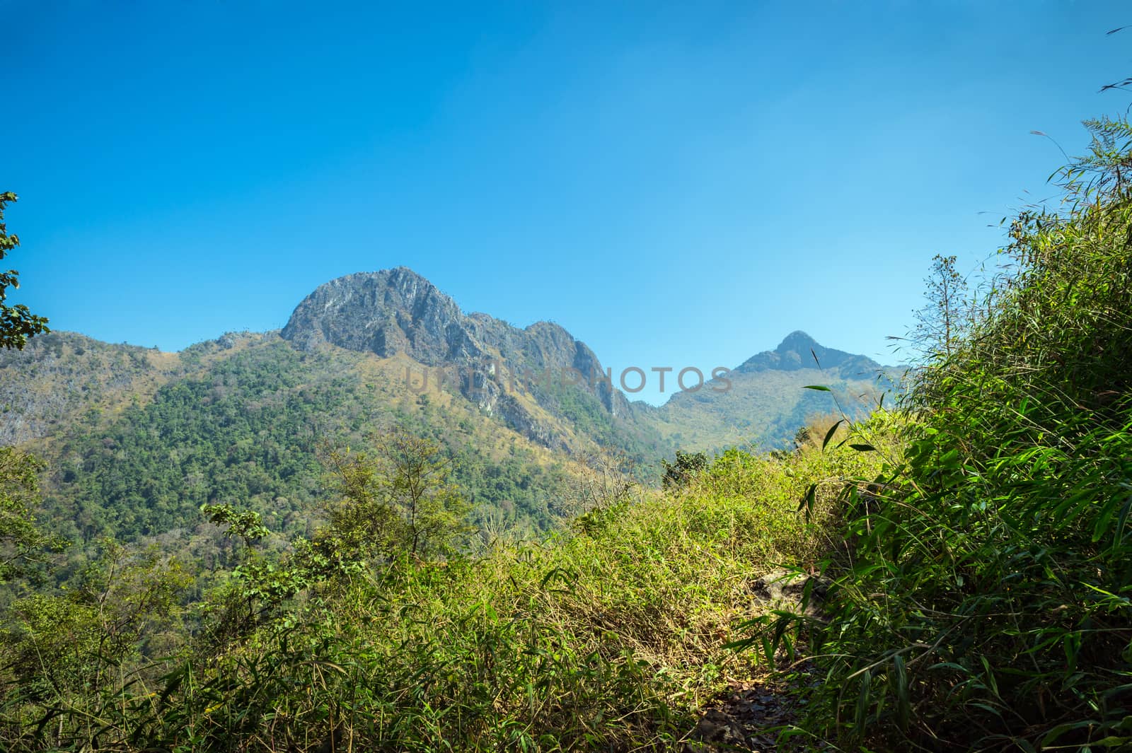 Mountain of Doi Luang Chiang Dao natural park Landscape, Chiang Mai, Thailand.