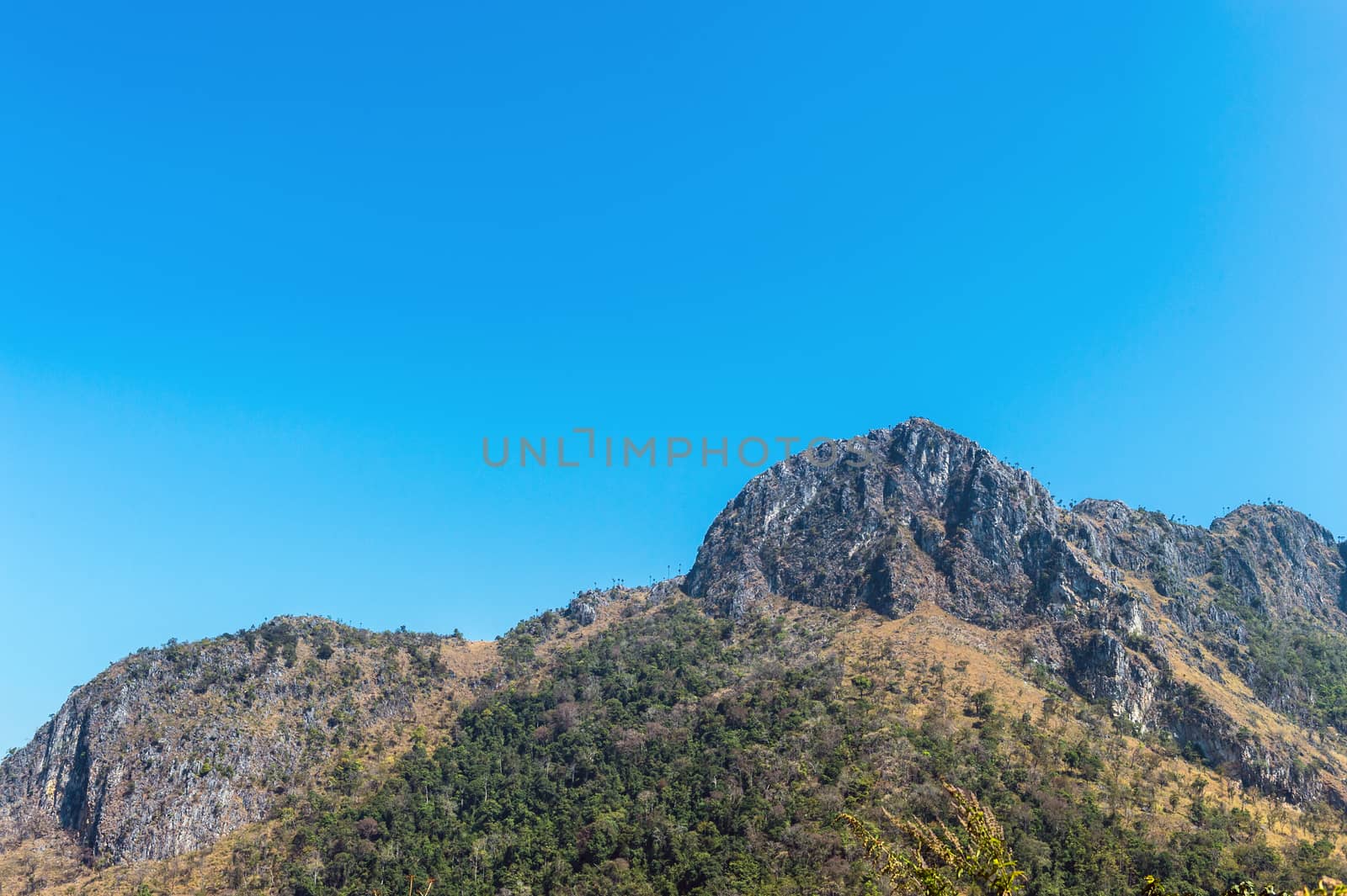 Mountain of Doi Luang Chiang Dao natural park Landscape, Chiang Mai, Thailand.