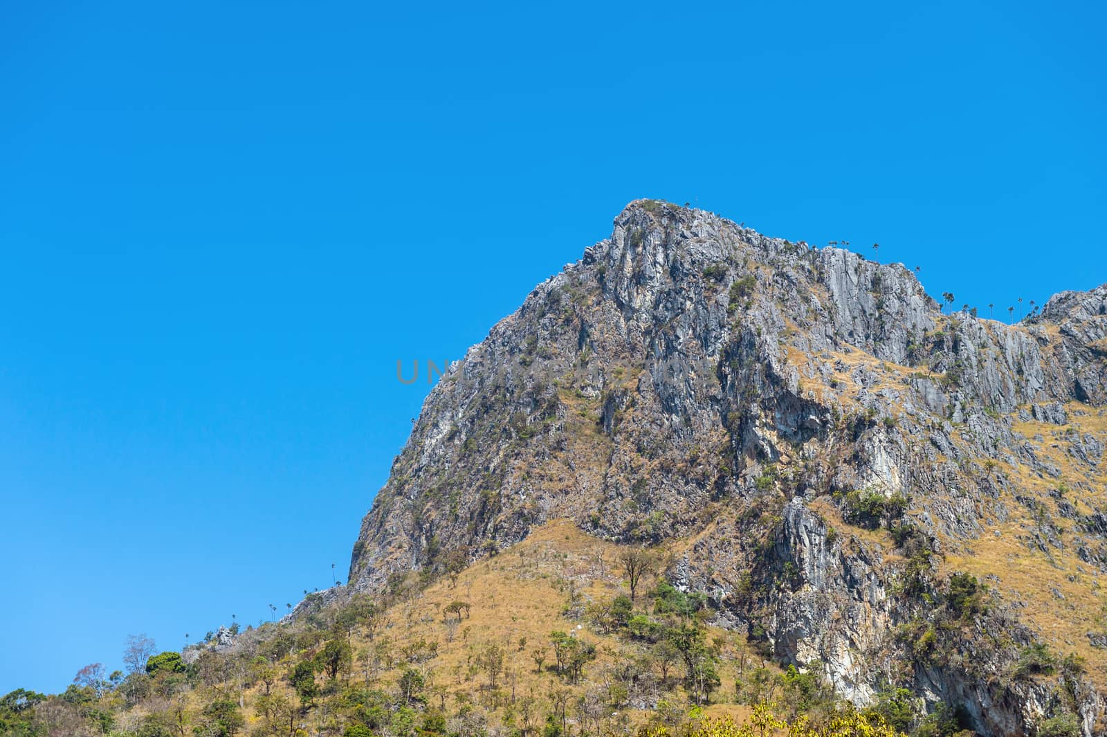 Mountain of Doi Luang Chiang Dao natural park Landscape, Chiang Mai, Thailand.