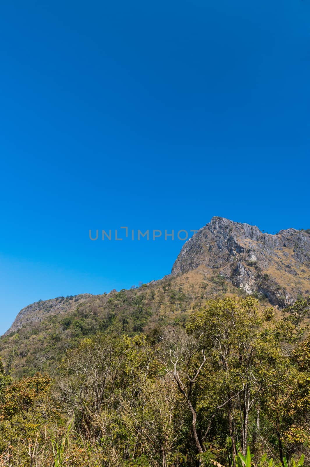 Mountain of Doi Luang Chiang Dao natural park Landscape, Chiang Mai, Thailand.