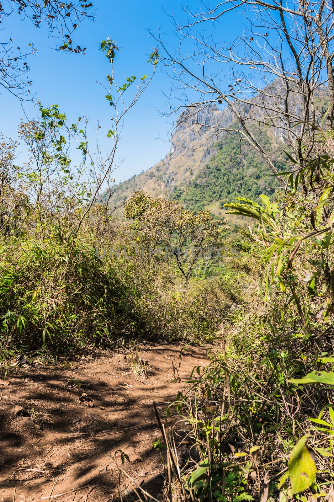 Path in Mountain of Doi Luang Chiang Dao natural park Landscape, Chiang Mai, Thailand.
