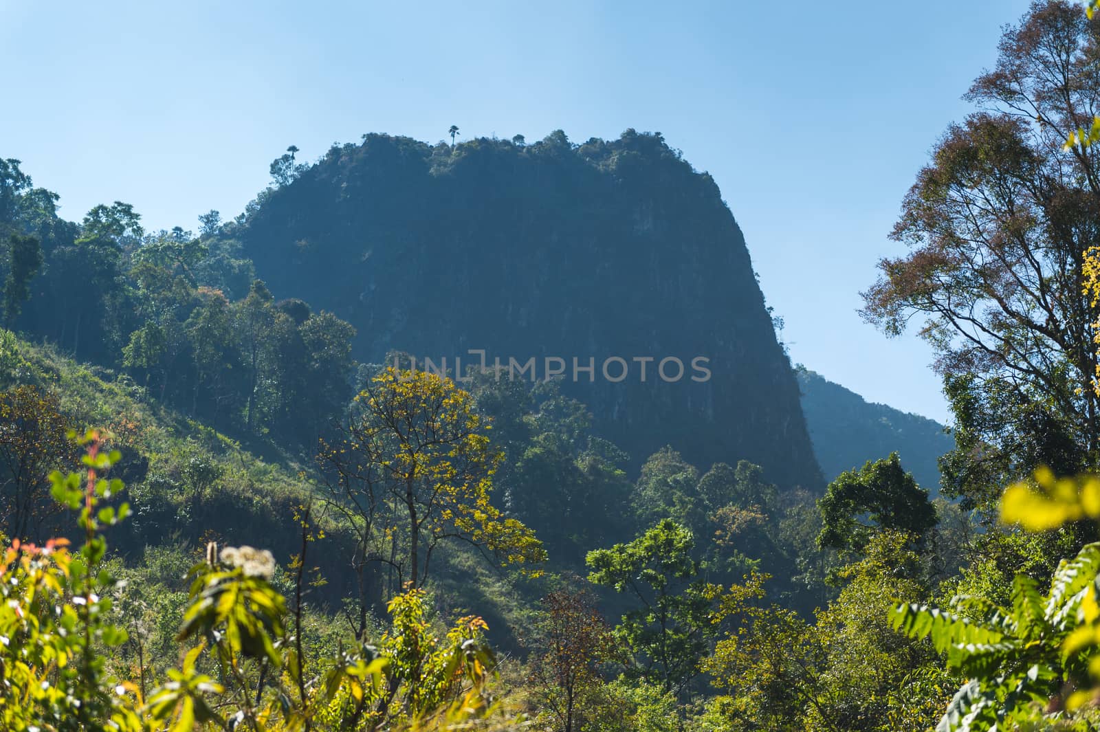 Mountain of Doi Luang Chiang Dao natural park Landscape, Chiang  by sayhmog