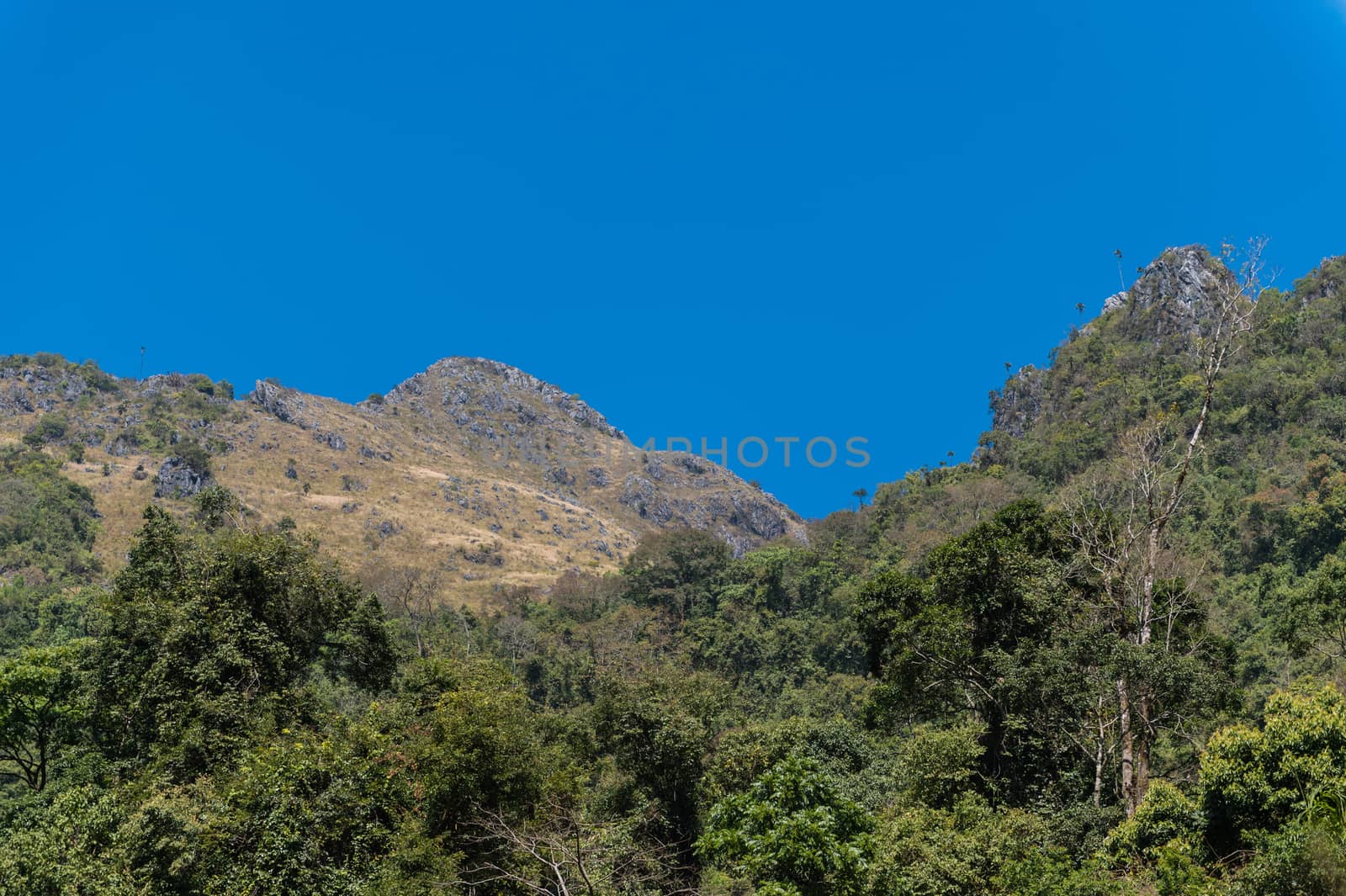 Mountain of Doi Luang Chiang Dao natural park Landscape, Chiang  by sayhmog