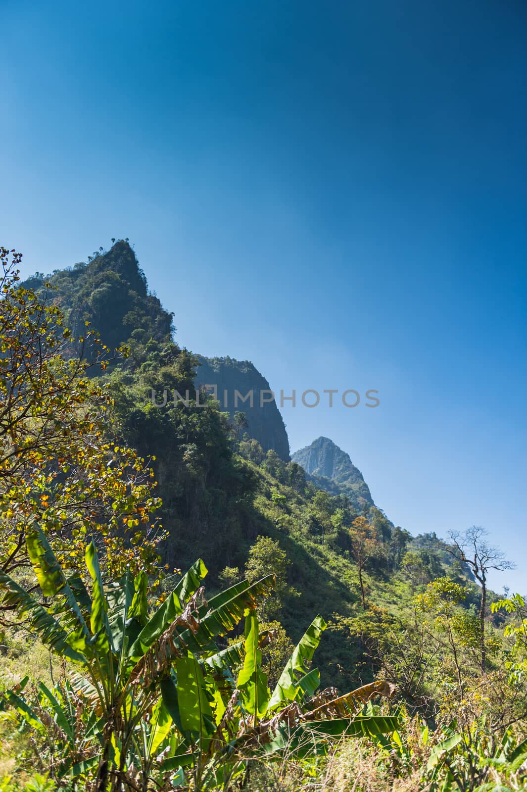 Mountain of Doi Luang Chiang Dao natural park Landscape, Chiang  by sayhmog