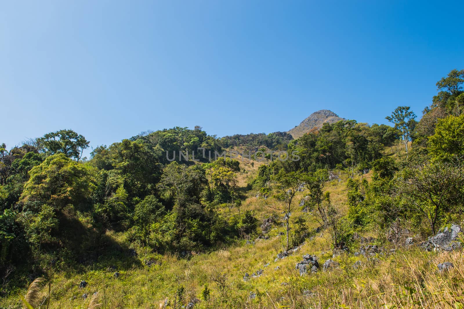 Mountain of Doi Luang Chiang Dao natural park Landscape, Chiang Mai, Thailand.