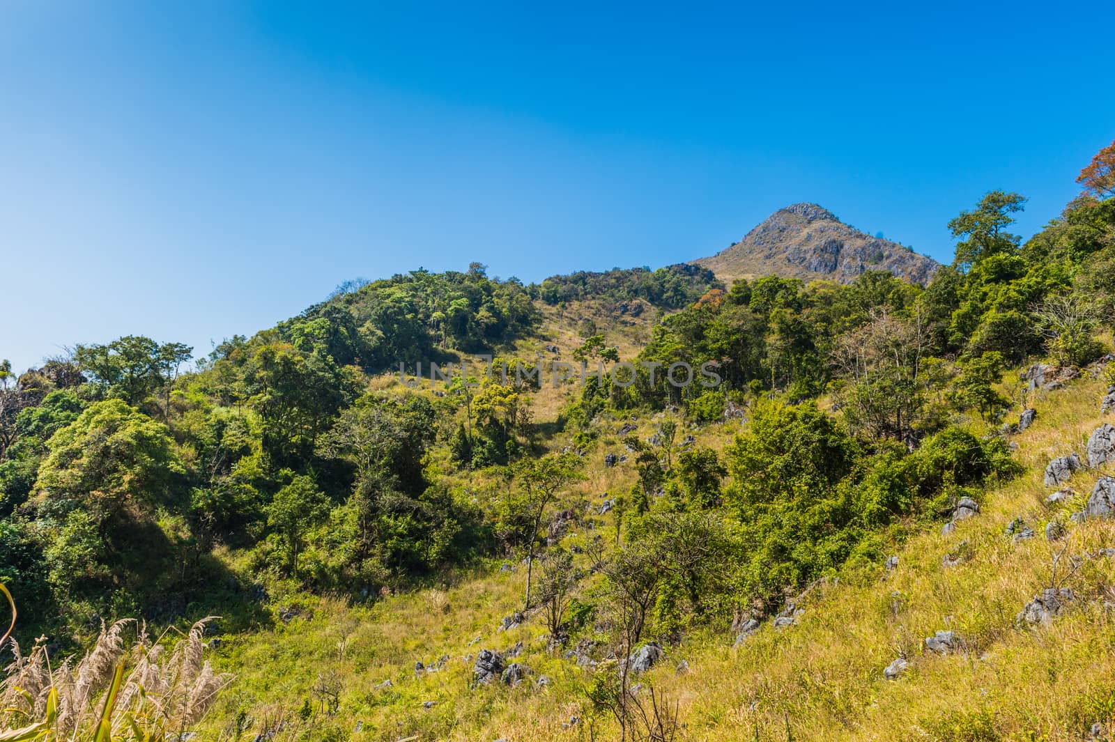 Mountain of Doi Luang Chiang Dao natural park Landscape, Chiang Mai, Thailand.