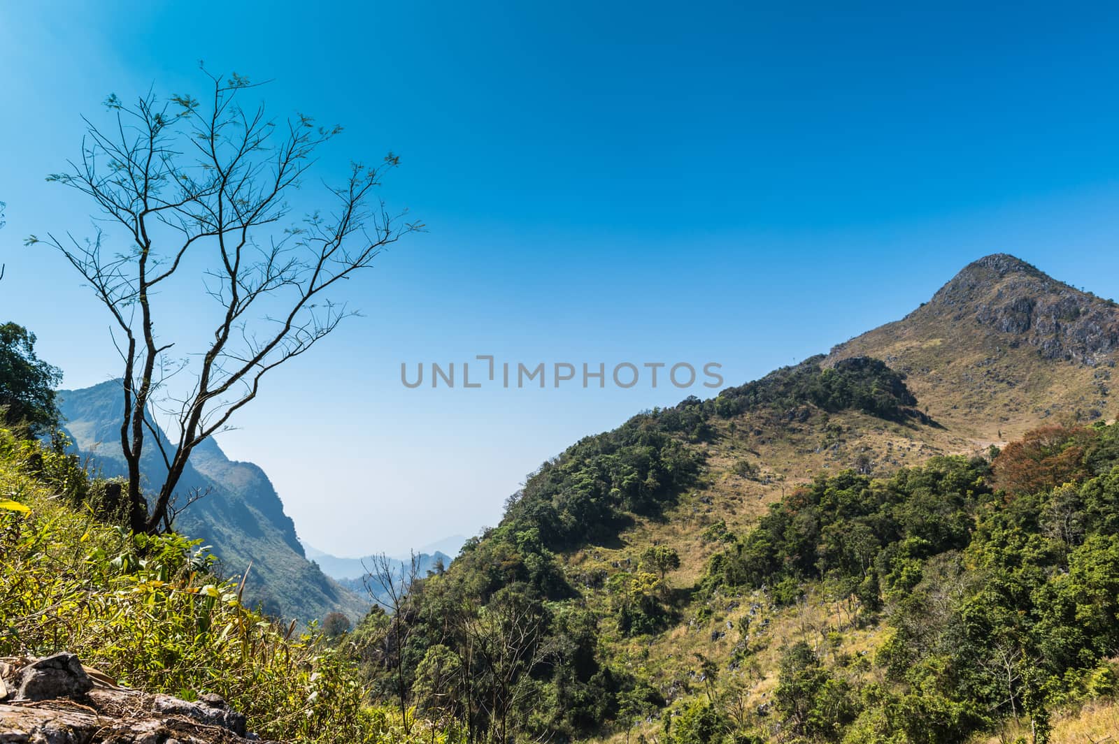 Mountain of Doi Luang Chiang Dao natural park Landscape, Chiang  by sayhmog