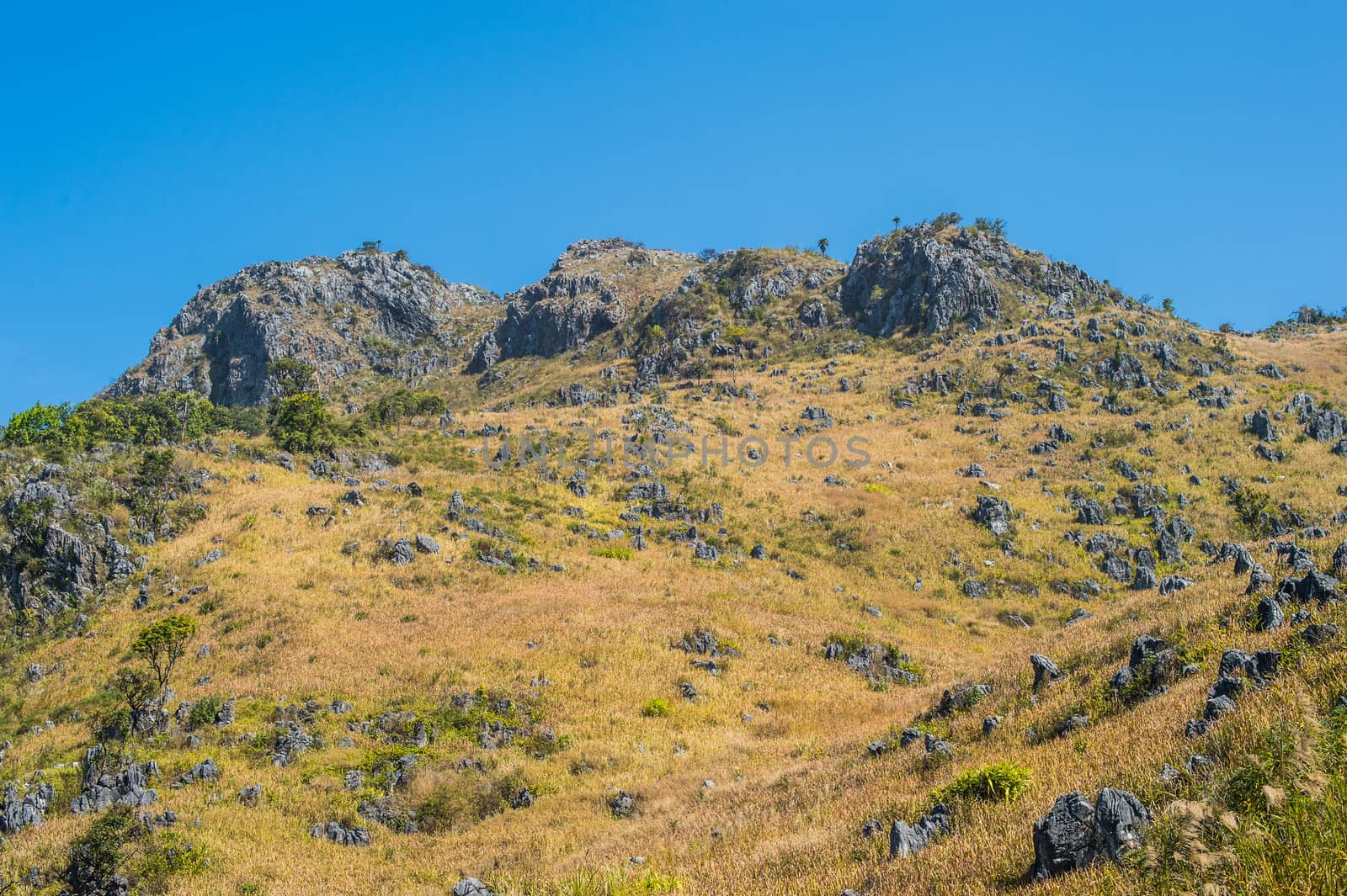 Doi Luang Chiang Dao Mountain Landscape, Chiang Mai, Thailand.