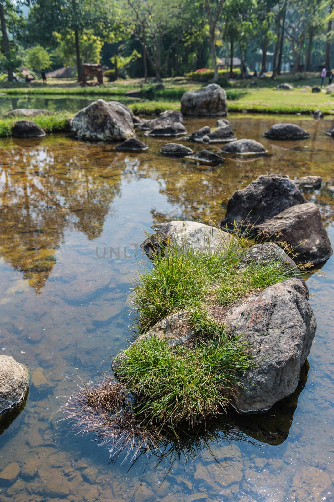 Chaeson hot spring pond landscape, Lampang province, Thailand.