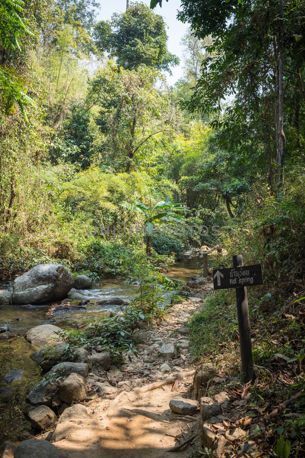 Path and signboard in Chaeson waterfall natural park of Lampang province, Thailand