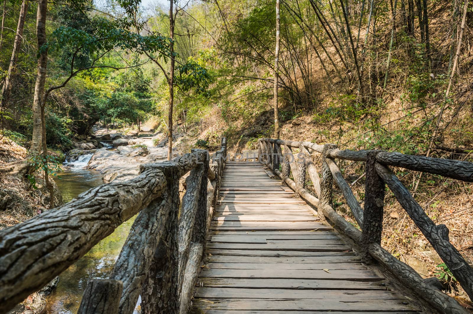 Path in Chaeson waterfall natural park of Lampang province, Thailand