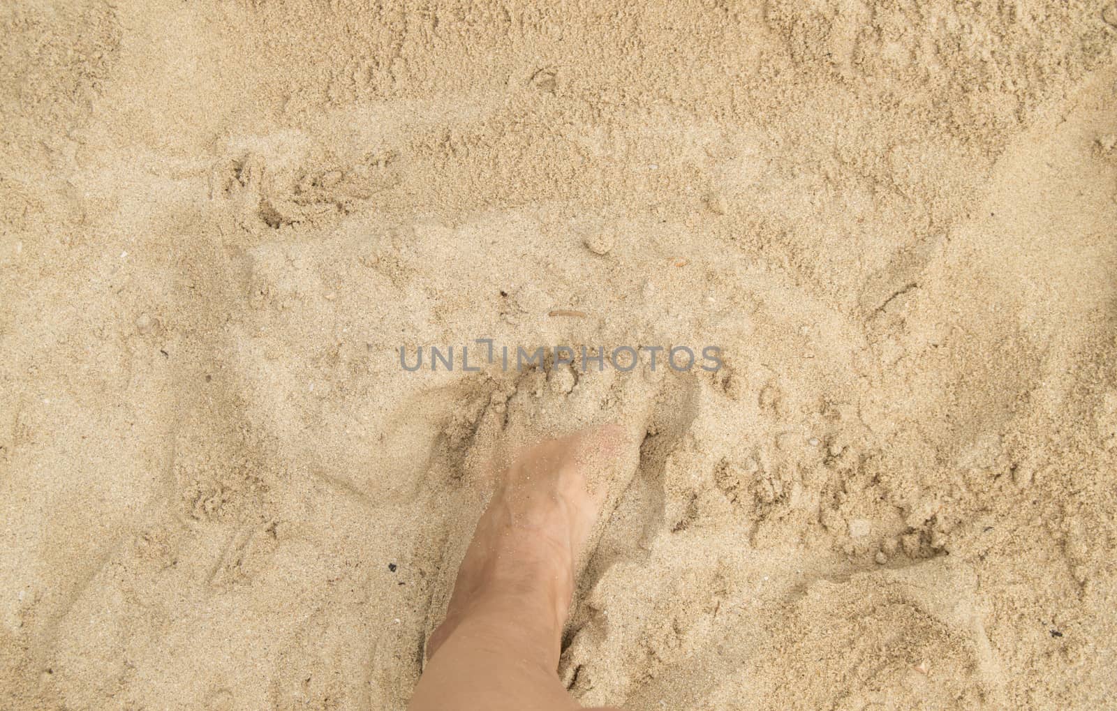 A young woman standing barefoot on the sand on a Sunny summer day. Top view of a beautiful leg. Empty space for text by claire_lucia