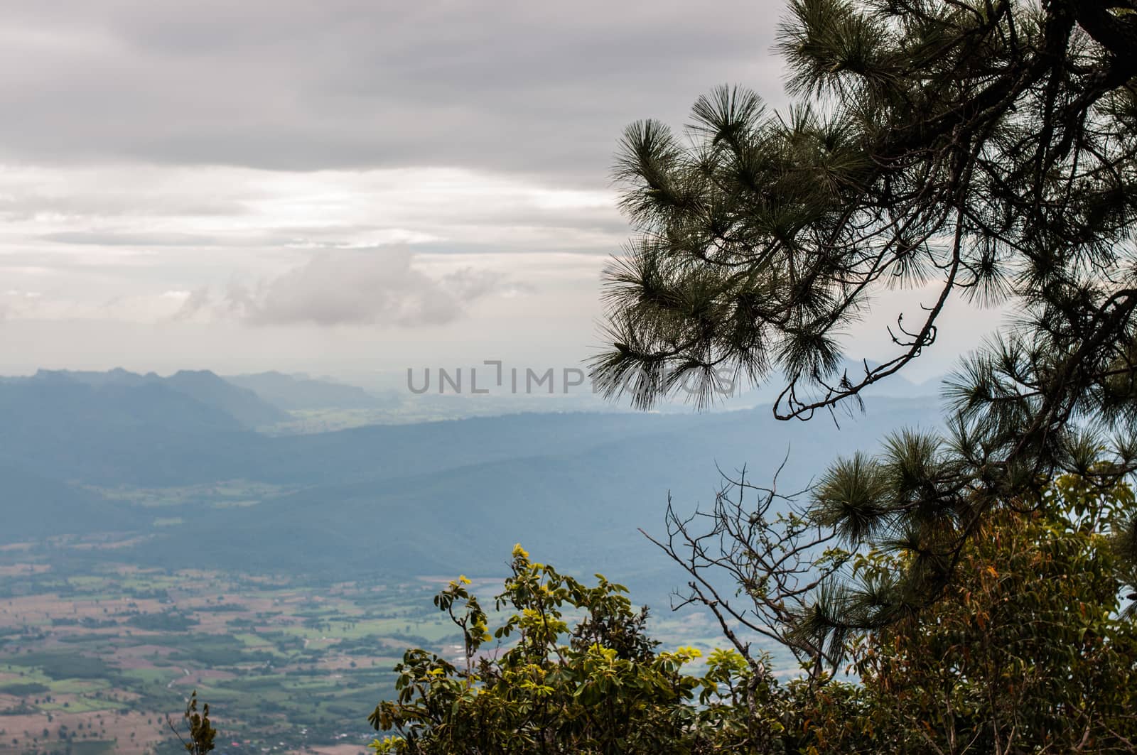 Cloudy sky and mountain landscape,Phu Kra Dueng, Thailand.