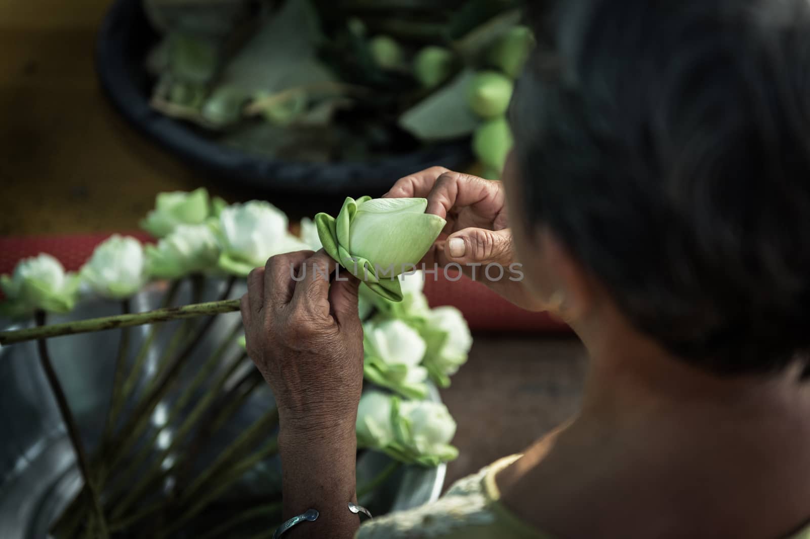 Closeup of old woman's hand folded lotus petals, Traditional bud by sayhmog