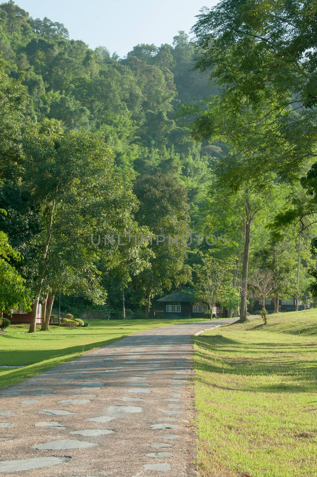 Road in the Sri Sat Cha Na Lai national park landscape, Sukhothai, Thailand