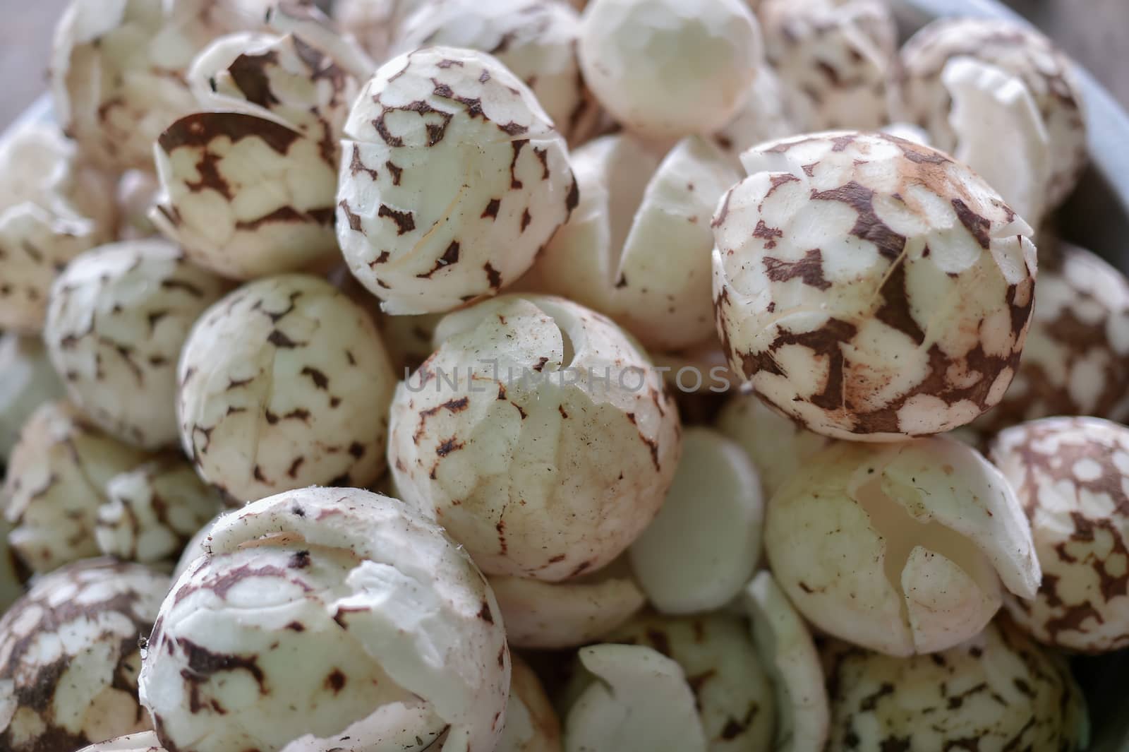 Closeup of coconut seed, raw food ingredient.