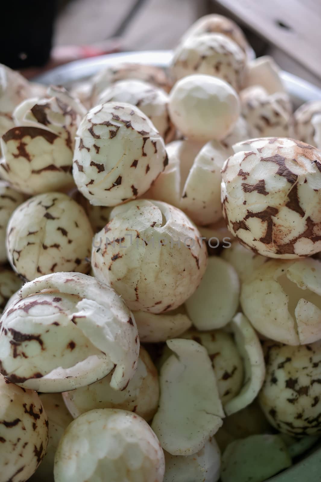 Closeup of coconut seed, raw food ingredient.