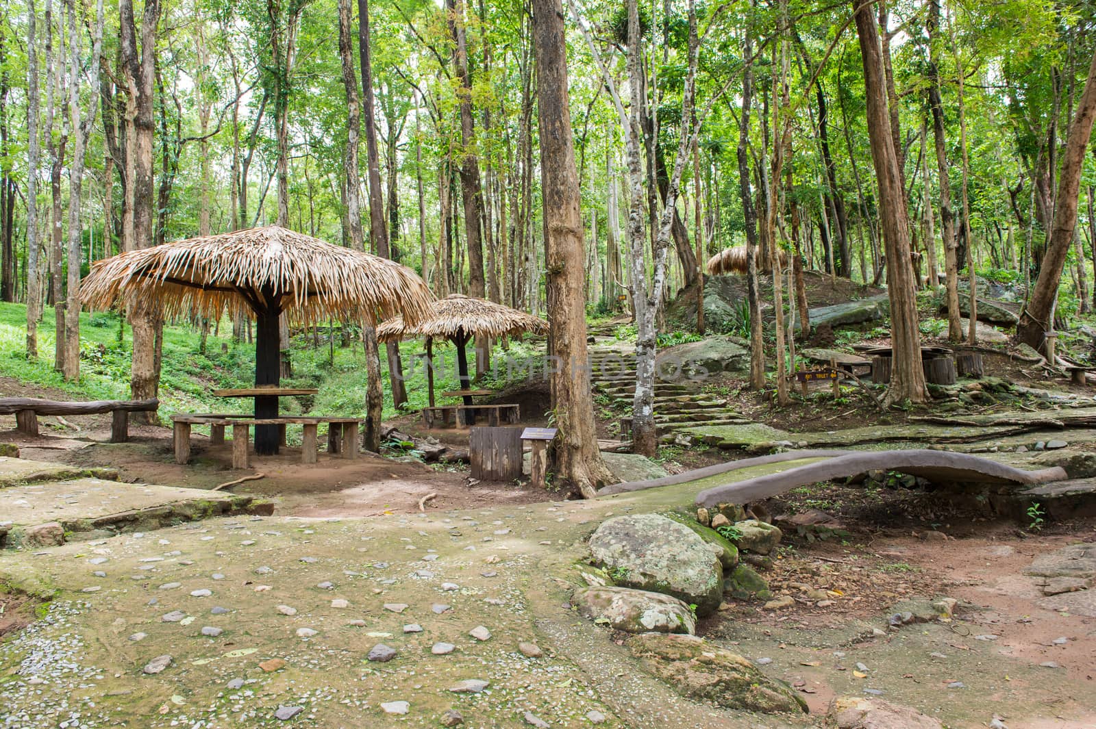 Pavilion in Nature Park Landscape