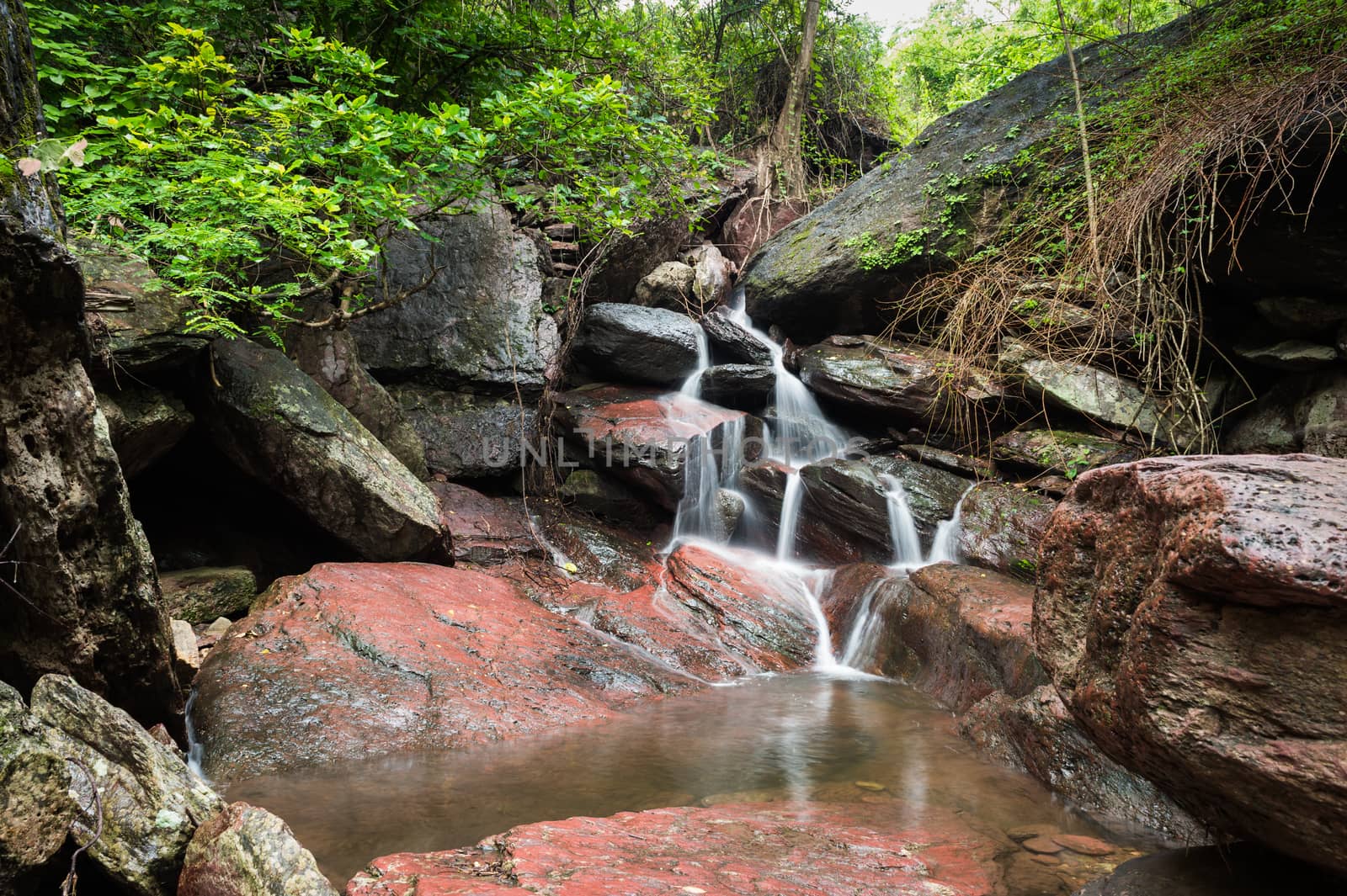 Waterfall in forest landscape
