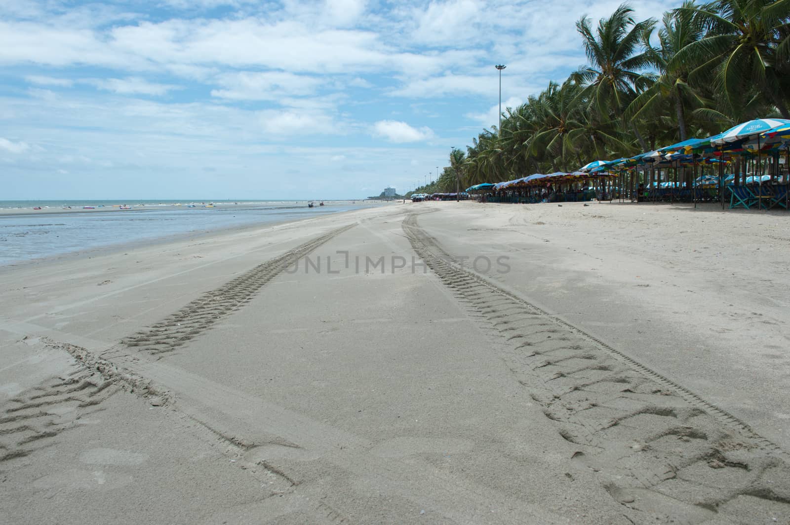 Sea beach and coconut palm tree landscape, rayong province, Thailand.